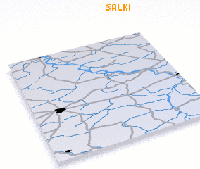 3d view of Sałki
