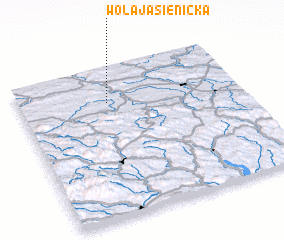 3d view of Wola Jasienicka