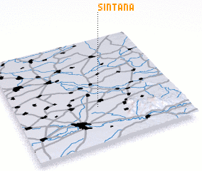 3d view of Sîntana