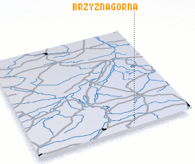 3d view of Brzyzna Górna