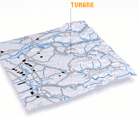 3d view of Tumane