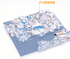 3d view of Floraíika