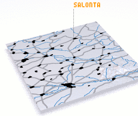 3d view of Salonta