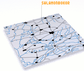 3d view of Salamonbokor