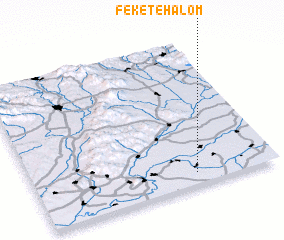 3d view of Feketehalom