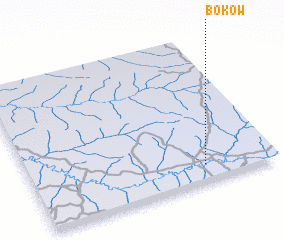 3d view of Bokow