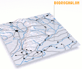 3d view of Bodroghalom