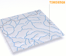 3d view of Tshisenga