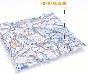 3d view of Karoplésion