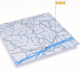 3d view of Bobie