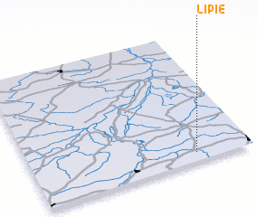 3d view of Lipie