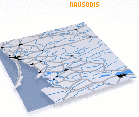 3d view of Nausodis