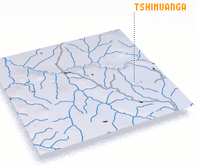 3d view of Tshimuanga