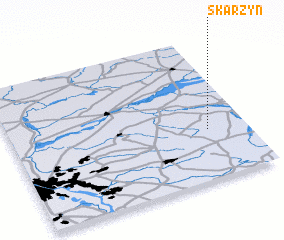 3d view of Skarzyn