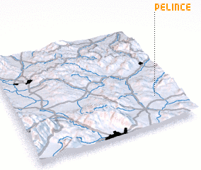 3d view of Pelince