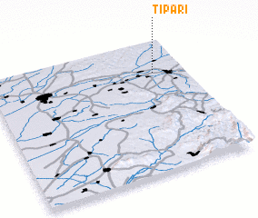 3d view of Ţipari