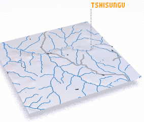 3d view of Tshisungu