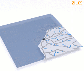 3d view of Zīles