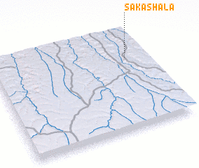 3d view of Sakashala