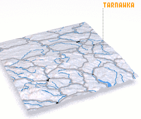 3d view of Tarnawka