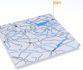 3d view of Nipy