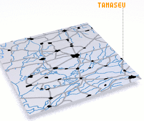 3d view of Tămăşeu