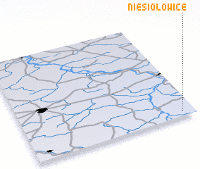 3d view of Niesiołowice