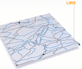 3d view of Lipie