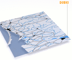 3d view of Dubki