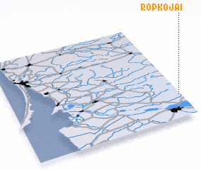 3d view of Ropkojai