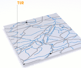 3d view of Tur