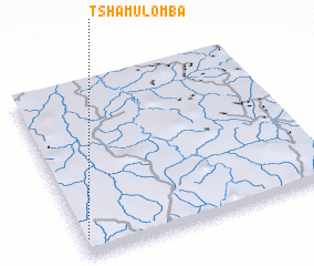 3d view of Tshamulomba