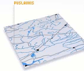 3d view of Pūslaukis