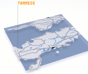 3d view of Tammese