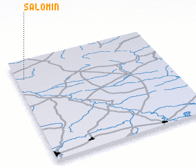 3d view of Salomin