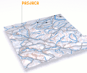 3d view of Pasjača