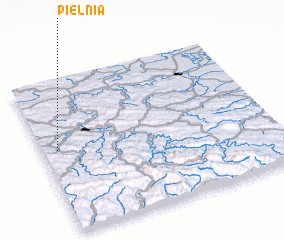 3d view of Pielnia