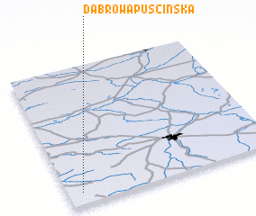 3d view of Dąbrowa Puscińska