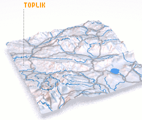 3d view of Toplik