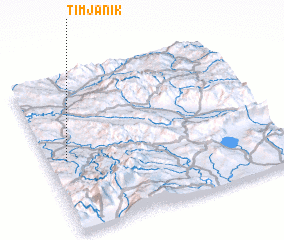 3d view of Timjanik