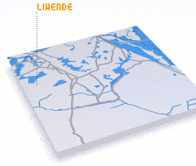 3d view of Liwende