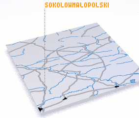 3d view of Sokołów Małopolski