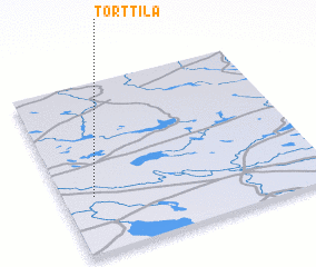 3d view of Torttila