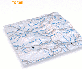 3d view of Tăşad