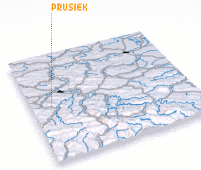 3d view of Prusiek