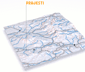 3d view of Prăjeşti