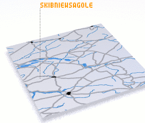 3d view of Skibniew Sągole