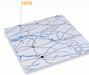 3d view of Tosie