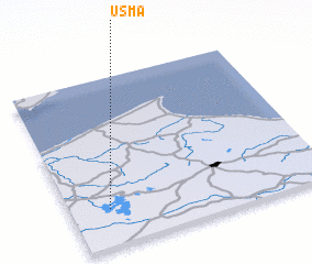 3d view of Usma