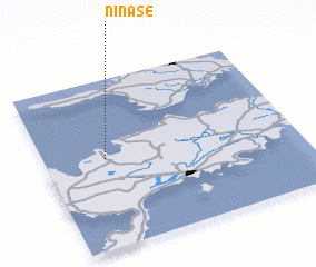 3d view of Ninase